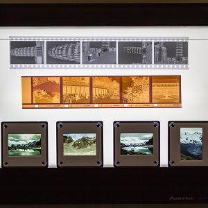Black & White Film Processing — photo product